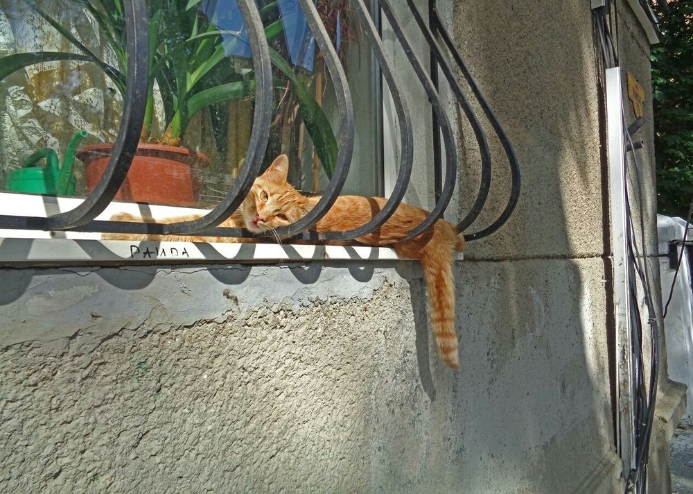 Фотография автора Lizuza