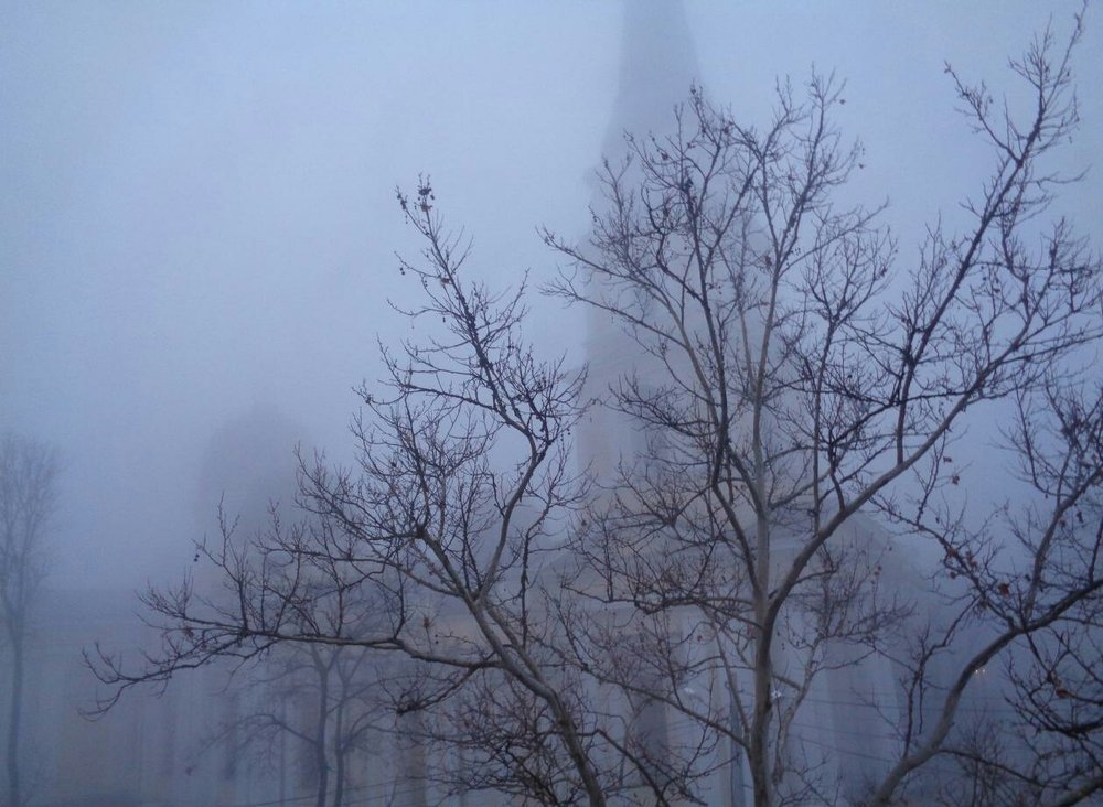 Фотография автора Lizuza