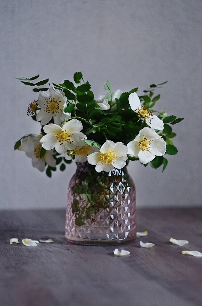 Photograph by Аликина Татьяна