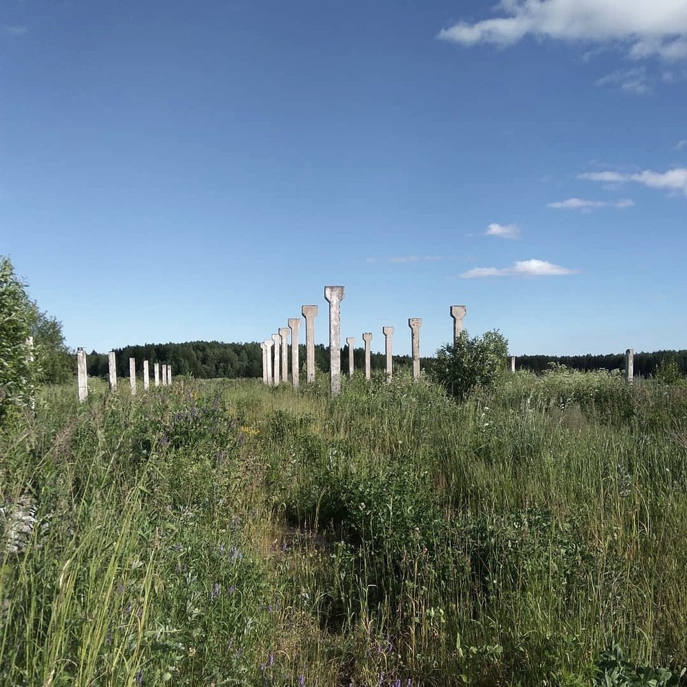 Photograph by Марина Варанкина