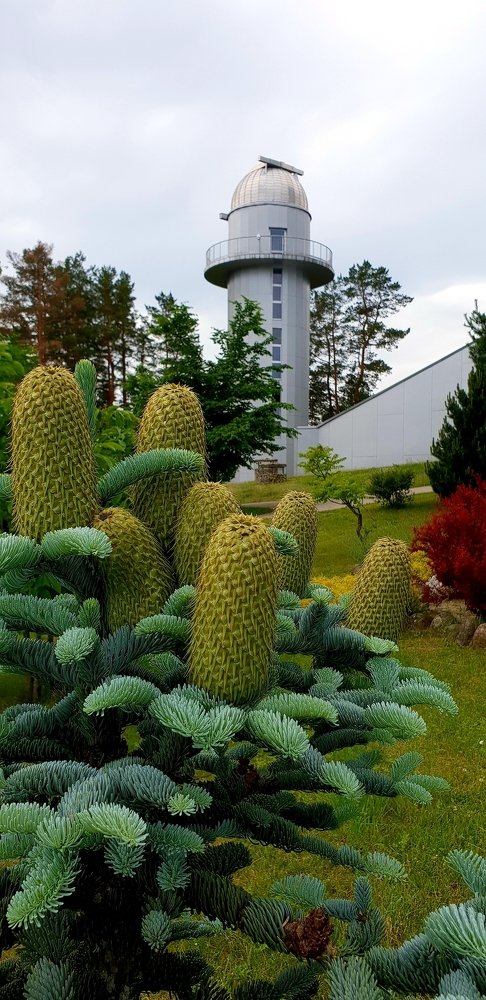 Photograph by Svetlana Toropoviene