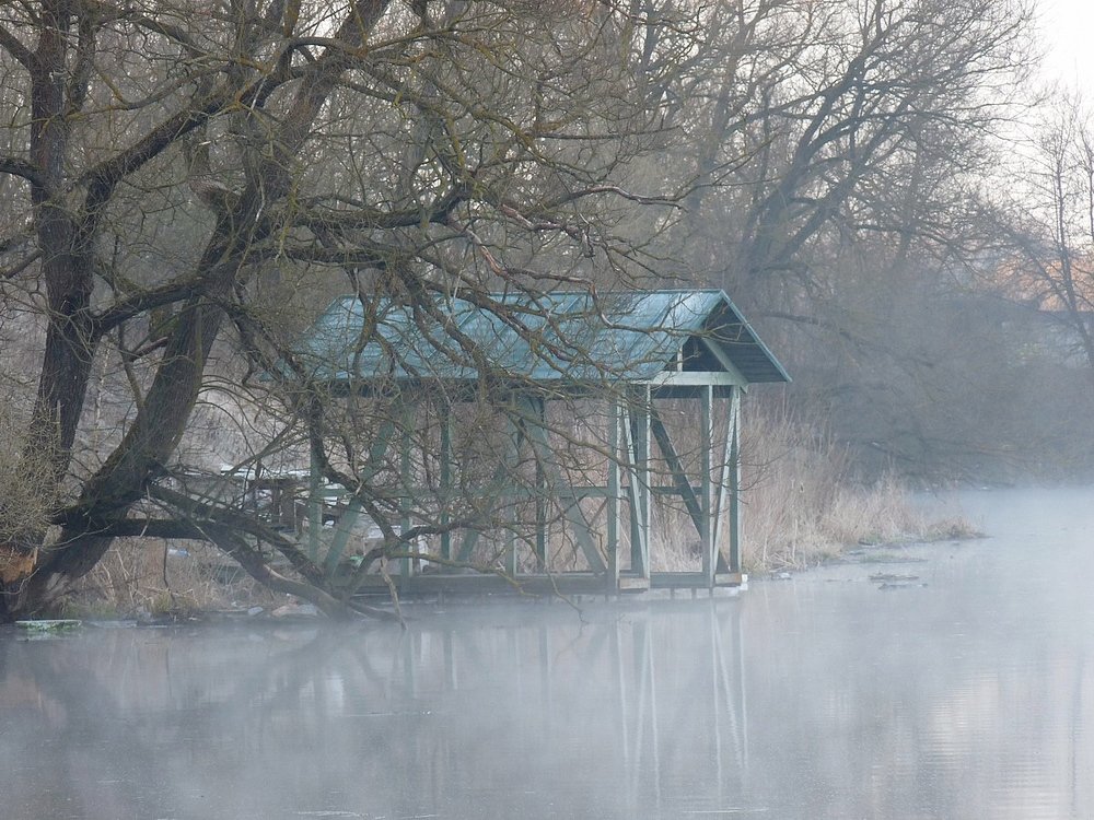 Тихая заводь