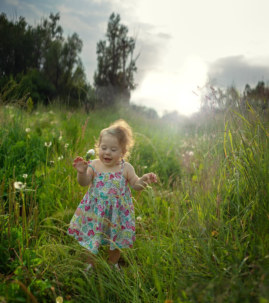 Одуванчики