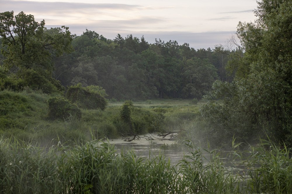 Photograph by Юлия Мельник