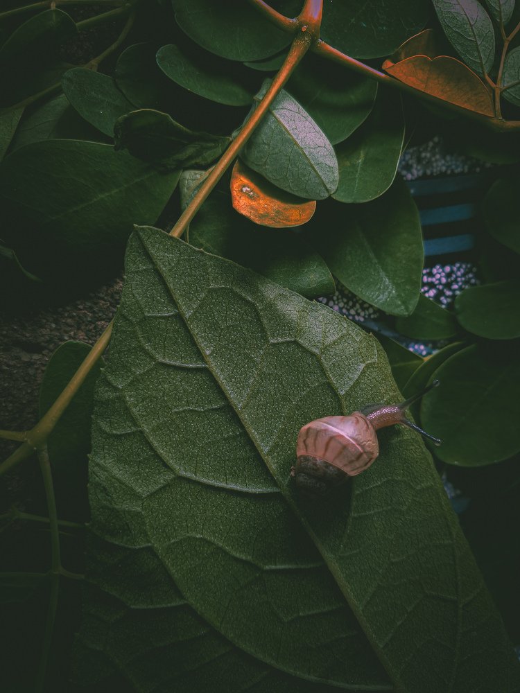Photograph by Marc Olivier Chakour