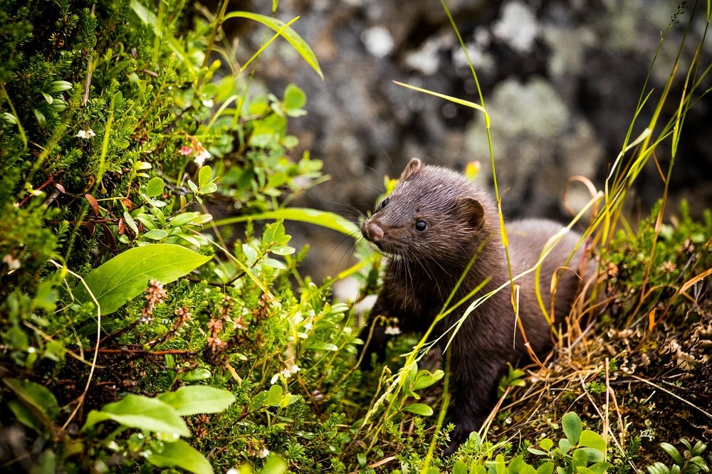 Photograph by Dmitry Skatov