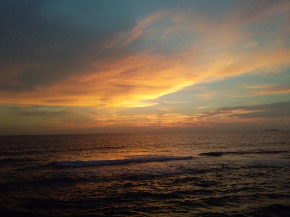 Photo #4716402