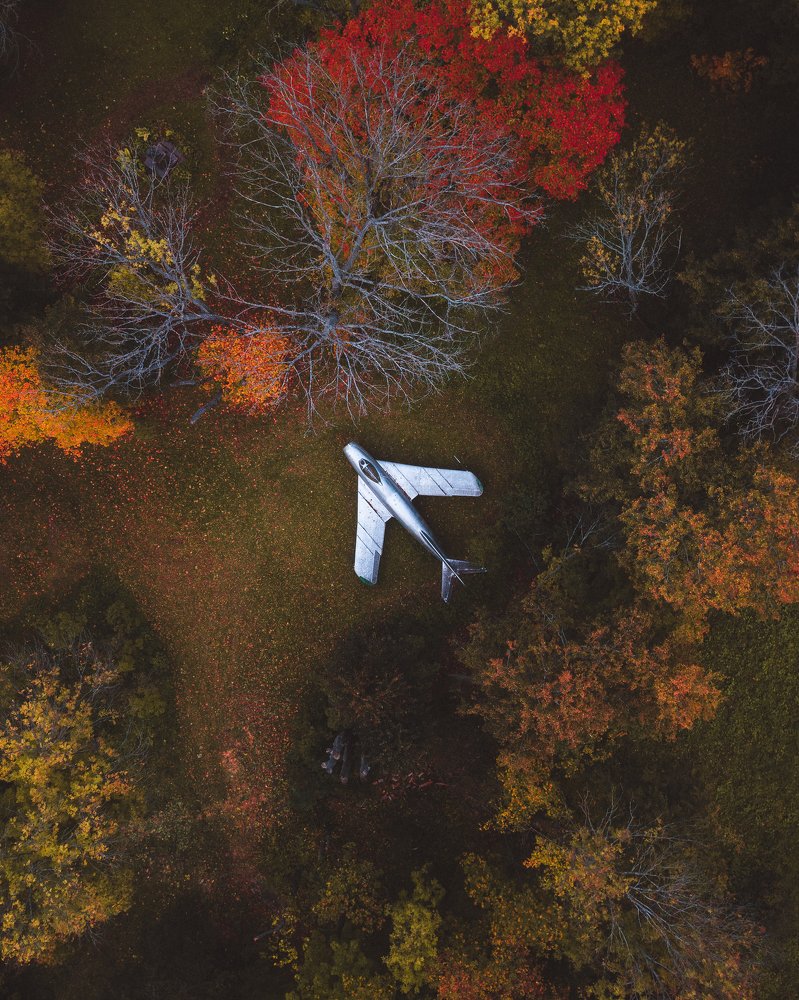 Самолет в лесу
