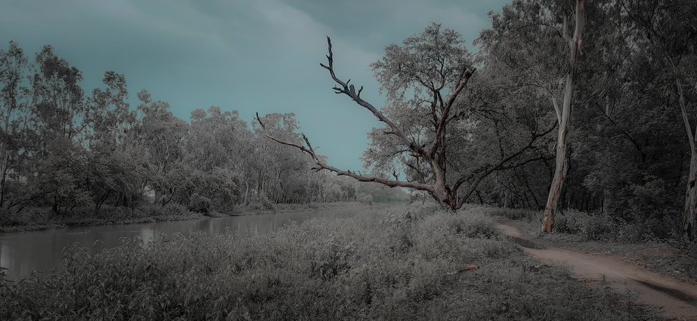 Photograph by Rav Singh