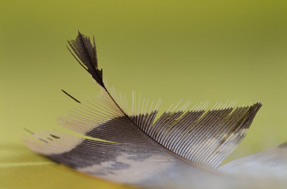 Photograph by Luis Miguel Rivas