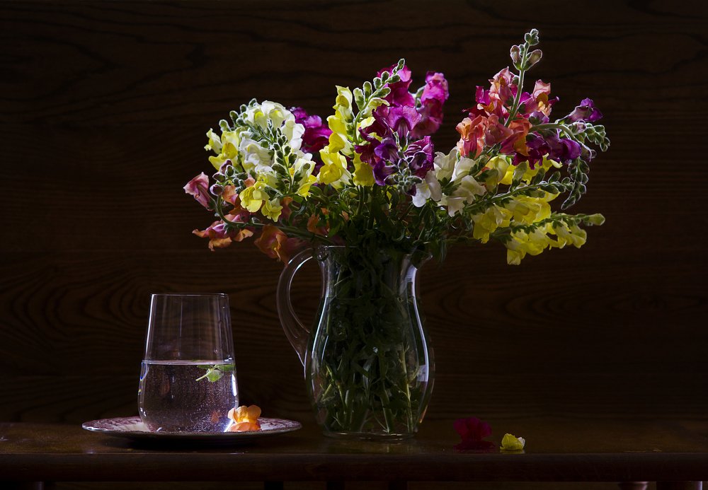 Photograph by Демидова Евгения