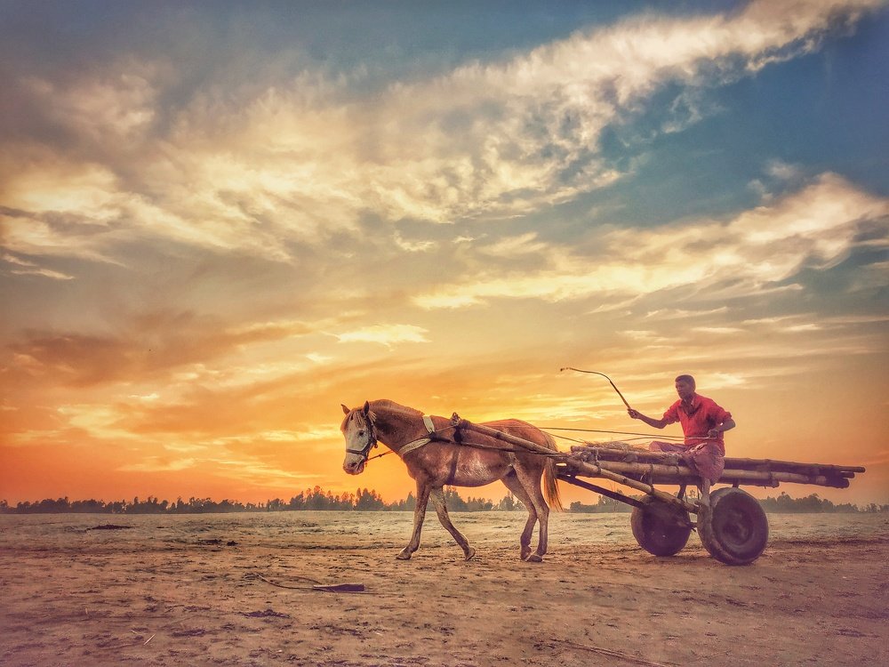 Photograph by Md. Miraz Ul Kabir