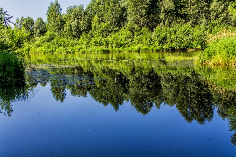 Photograph by Игорь Голубев
