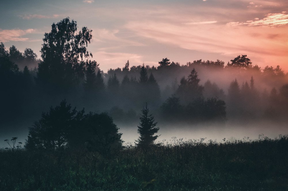 Photograph by Светлана Воскресенская