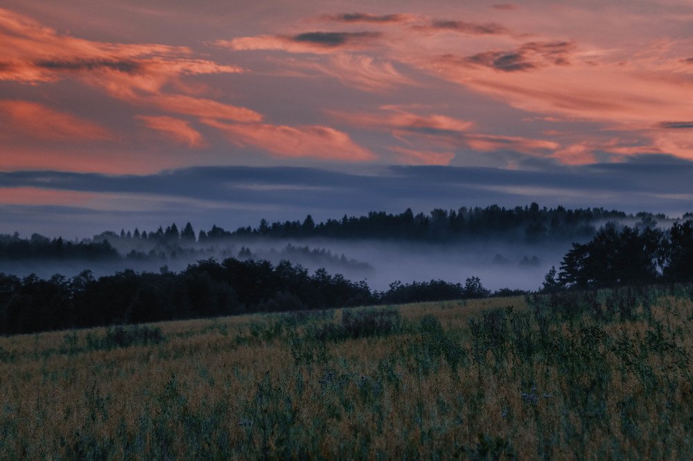 Photograph by Светлана Воскресенская
