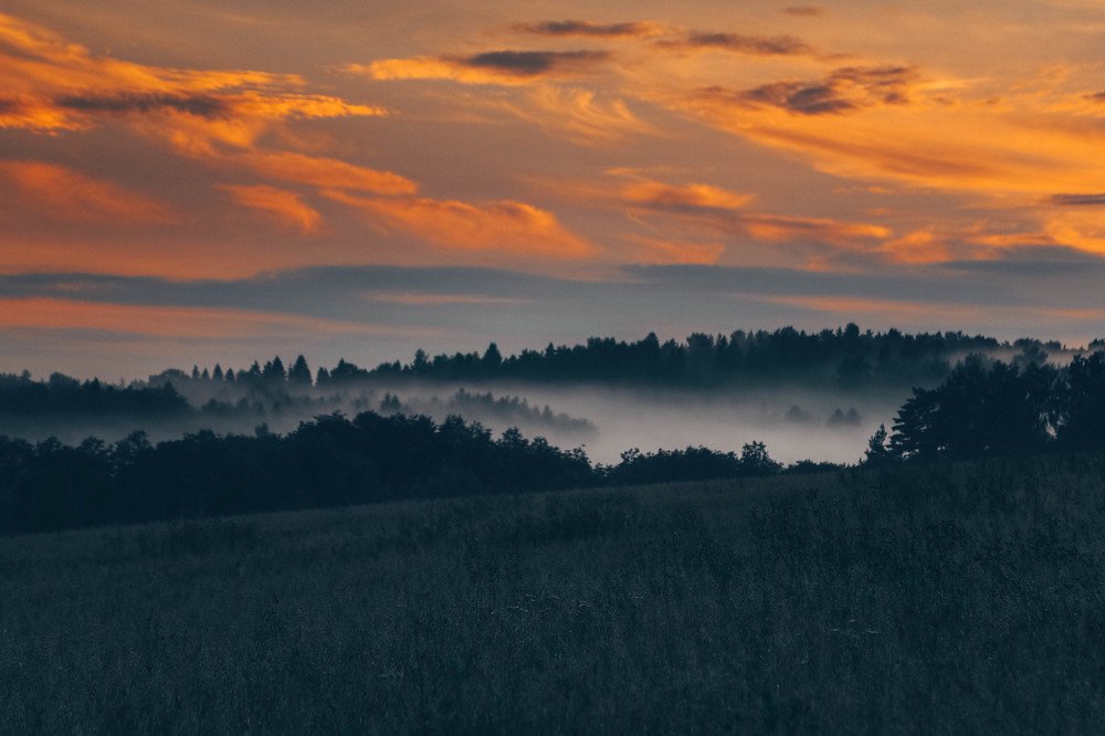 Photograph by Светлана Воскресенская