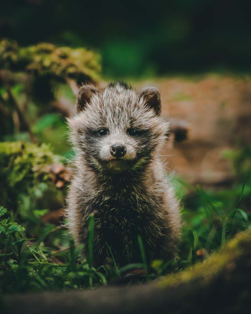 Photograph by DAVID Ondreas