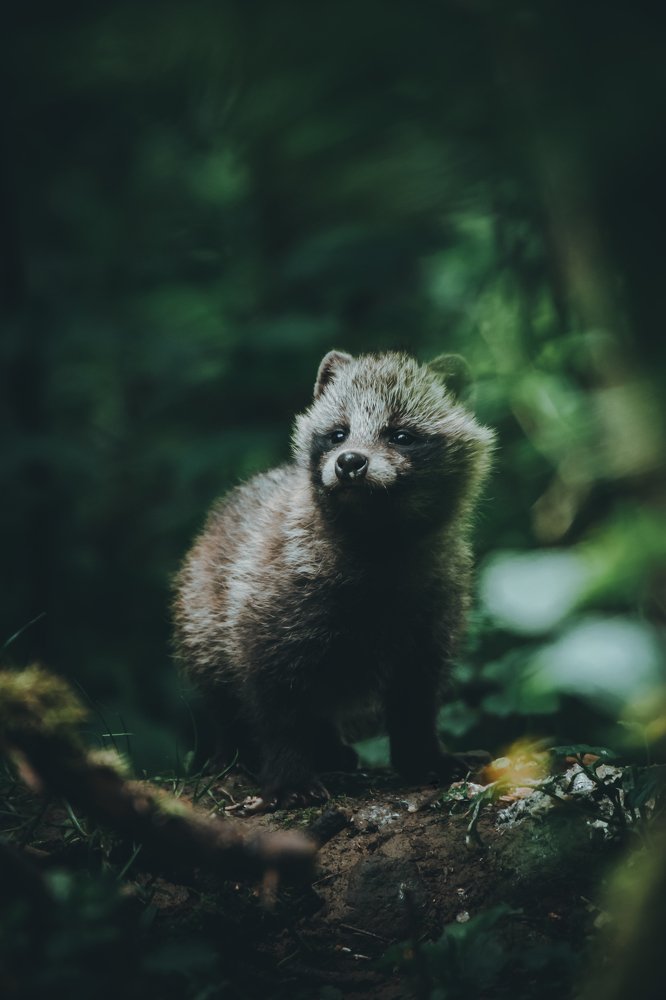 Photograph by DAVID Ondreas