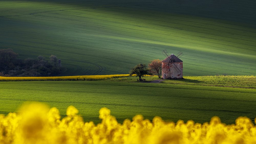 Photograph by Adrian Stanica