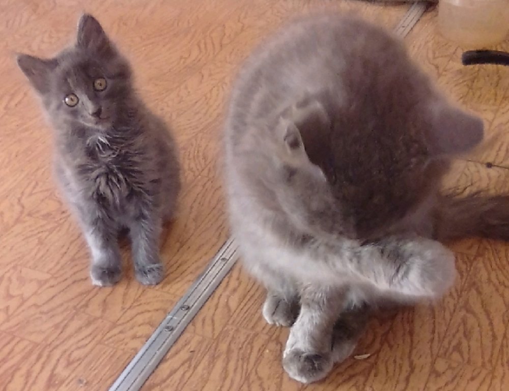 Photograph by Елена Качнова