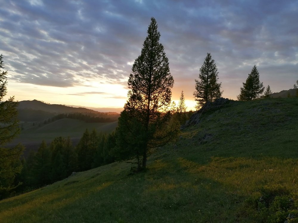 Природа Алтая прекрасна