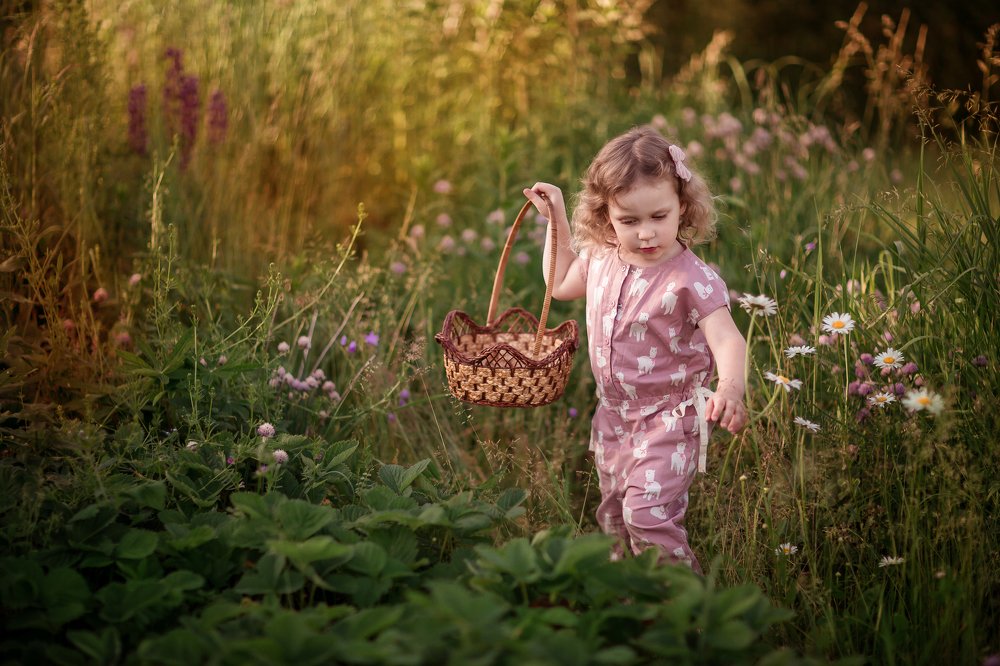 В поисках клубники