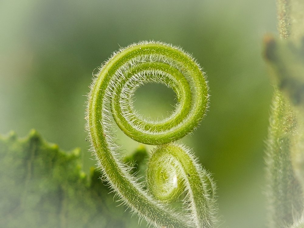 Photograph by Yap Andrew