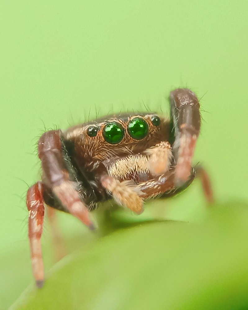 Photograph by Kumar. P Deekshith