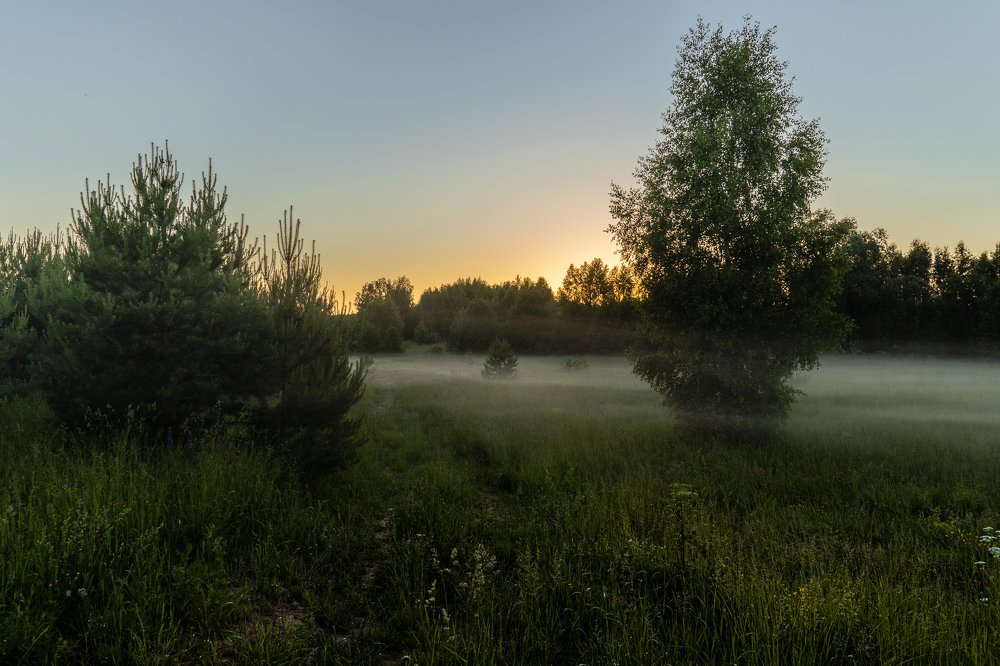 Photograph by Игорь Мурзенко