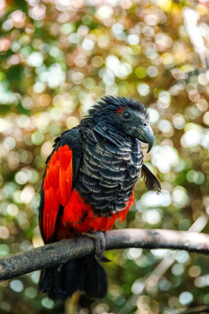 Фотография автора Гудкова Светлана