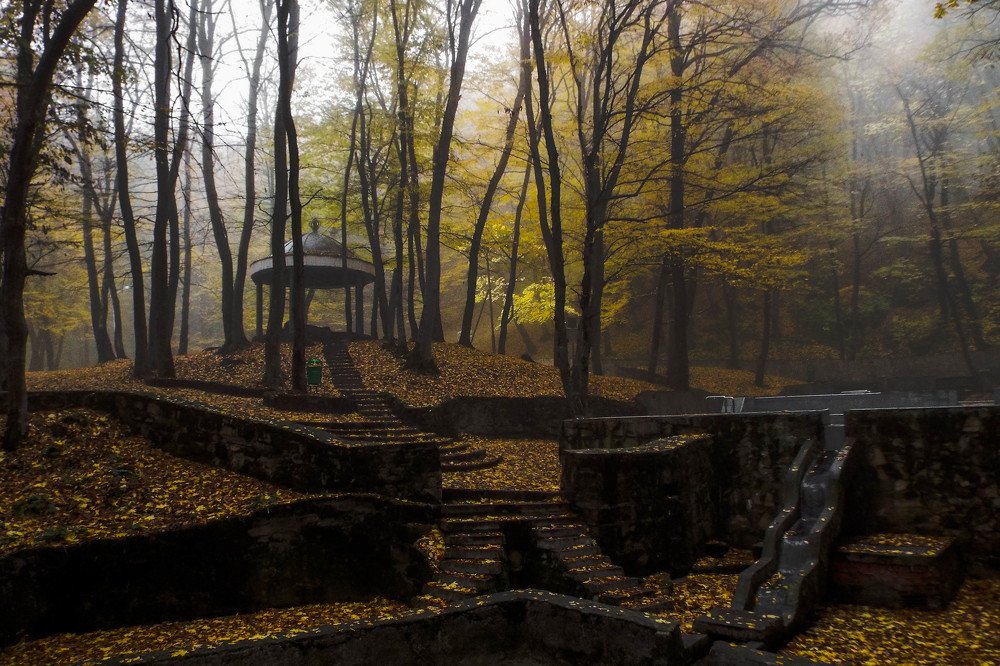 Унылая пора! Очей очарованье!