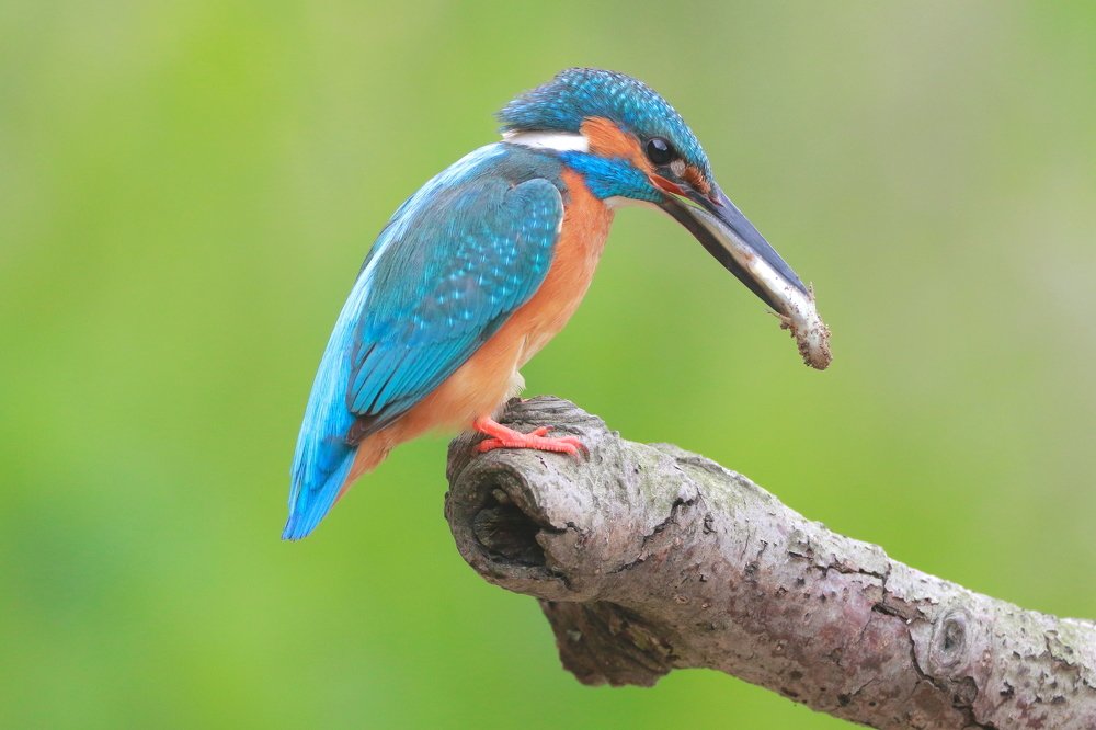 Photograph by Piotr Warzecha