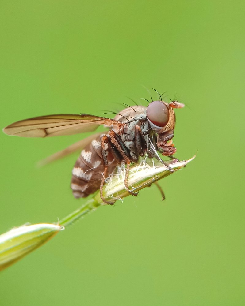 Photograph by Kumar. P Deekshith