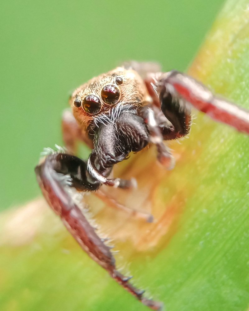 Photograph by Kumar. P Deekshith