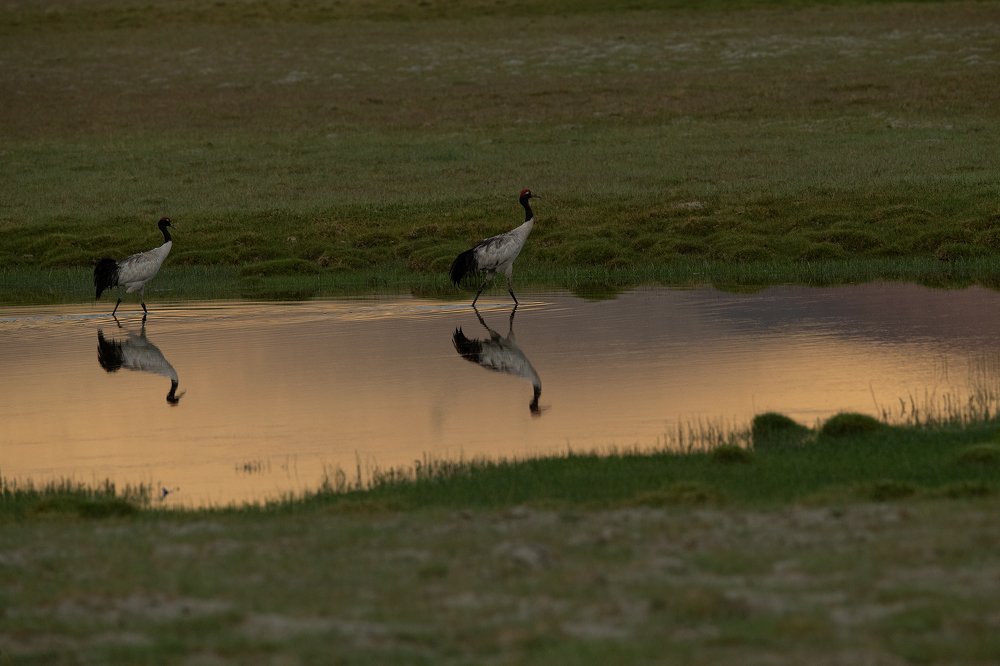 Photograph by Pranesh Kodancha