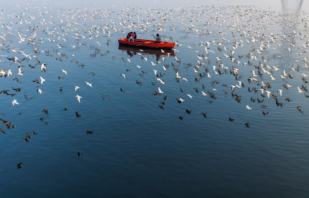 Peaceful Coexistence..