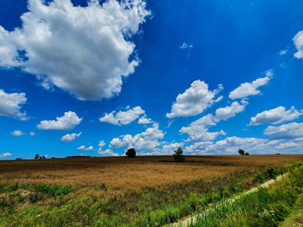 Photograph by Ailiesei Marius