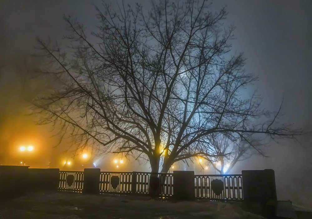 Photograph by Наталья Коньшина