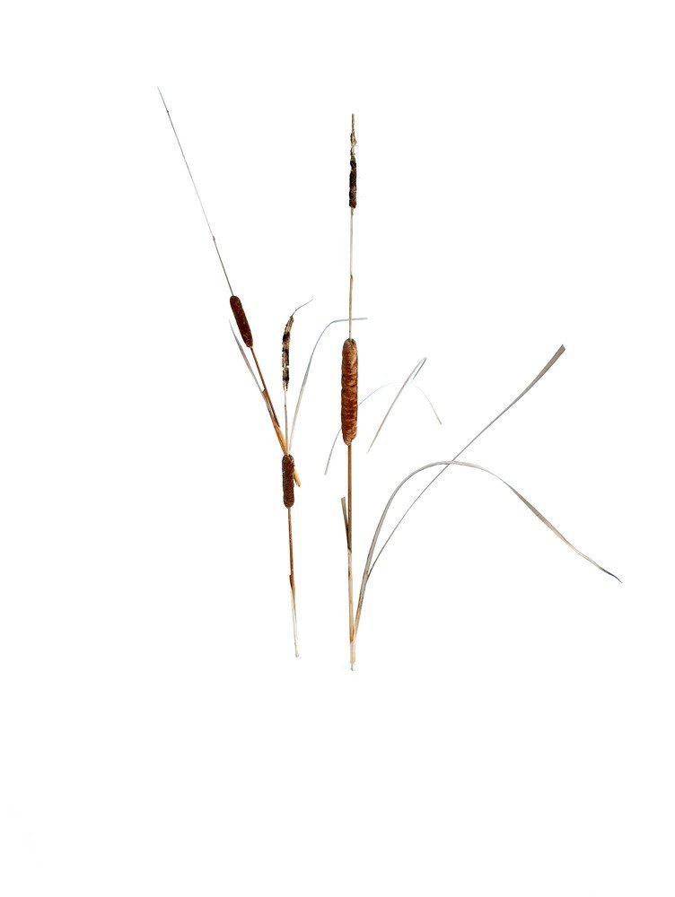 Photograph by Андрей Щипин