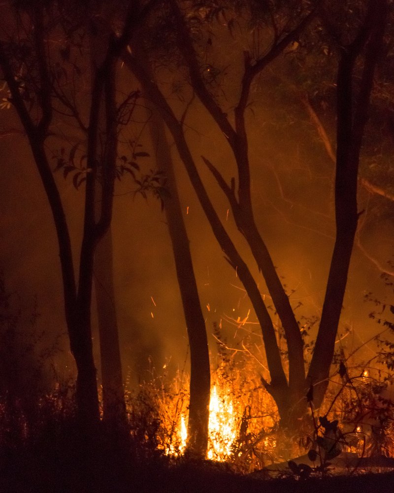 Firescape