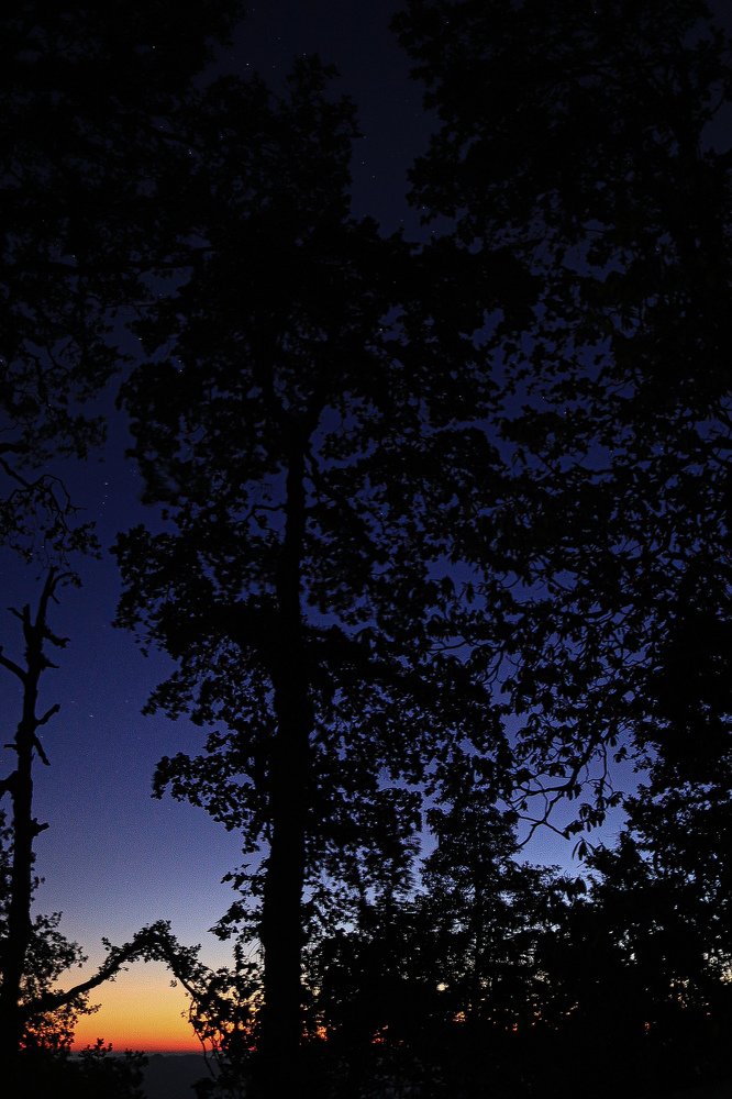 Photograph by Ankita Batabyal