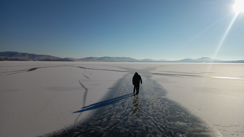 Photograph by Мария Чистякова