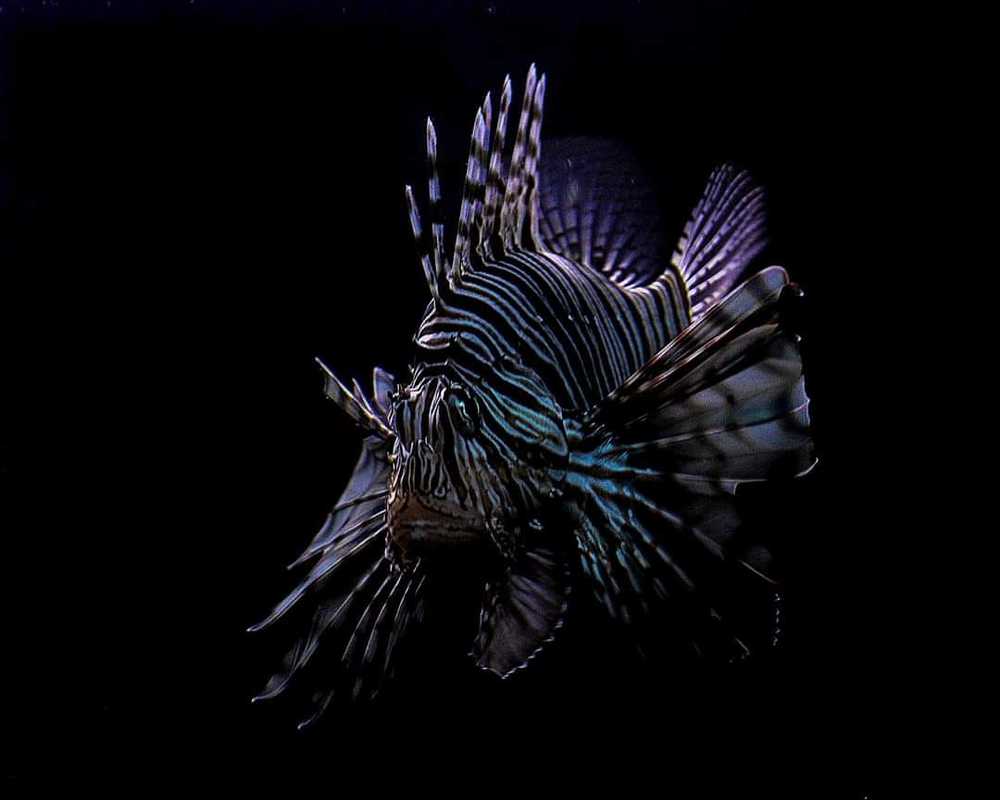 Photograph by emma corrigan