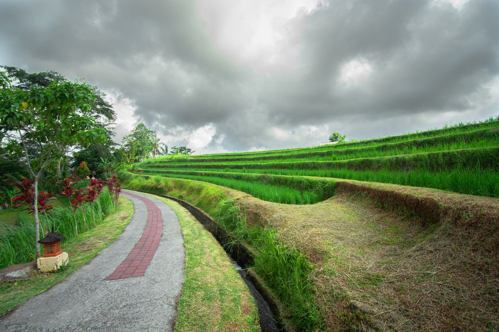 Photograph by I Gusti Nyoman Alit Purmani