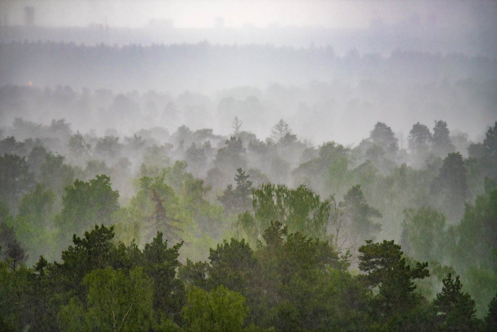 Photograph by Константин Горшенин