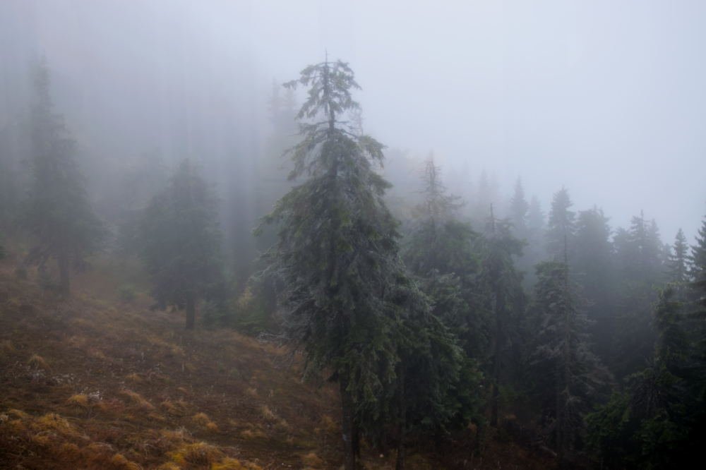 Photograph by Alexandra Ionita