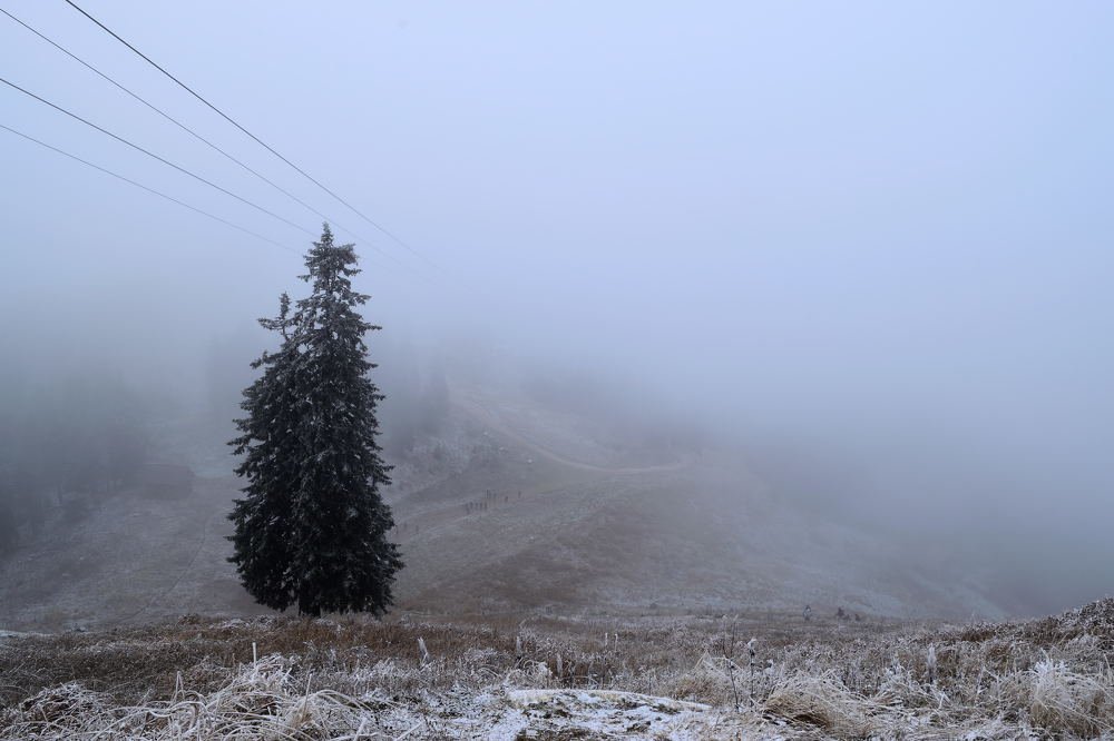 Photograph by Alexandra Ionita