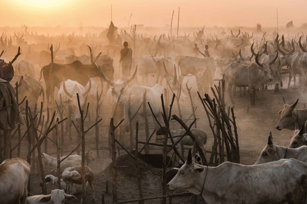 Sunset on the Cattle Camp
