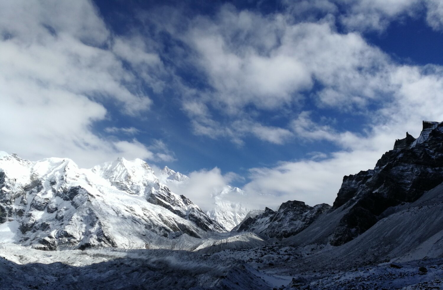 Photo #4717625