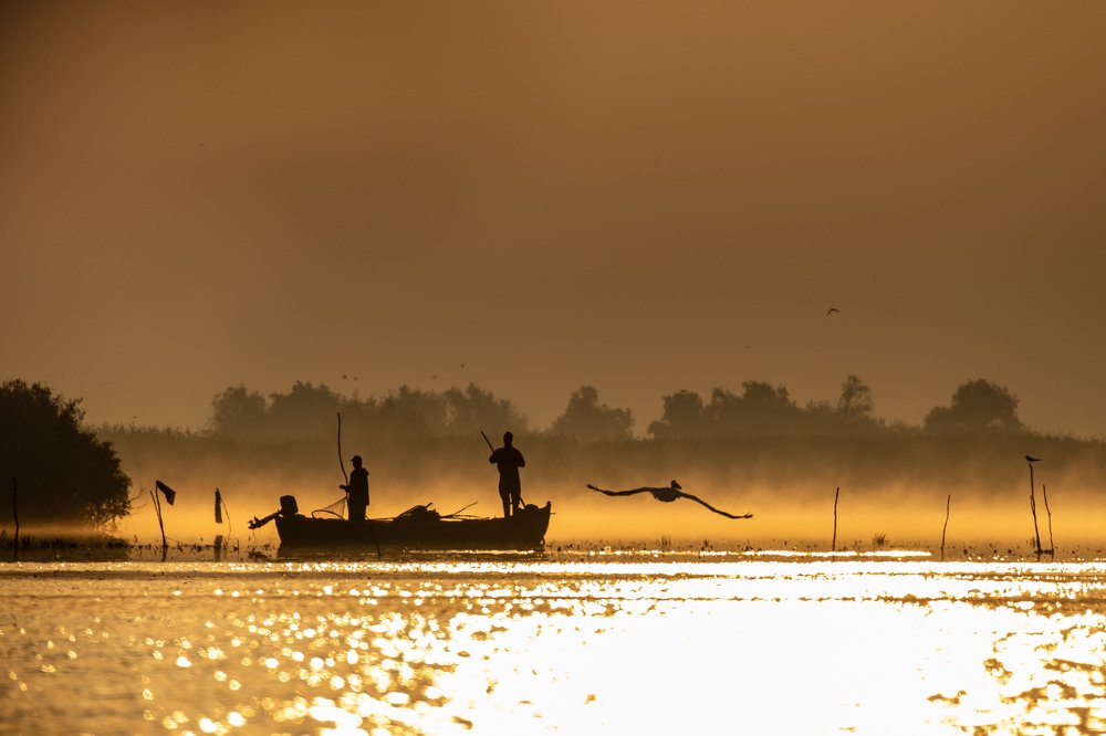 Photograph by Adrian Grigore